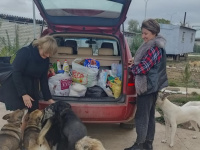 передача собранной помощи в приют для бездомных собак